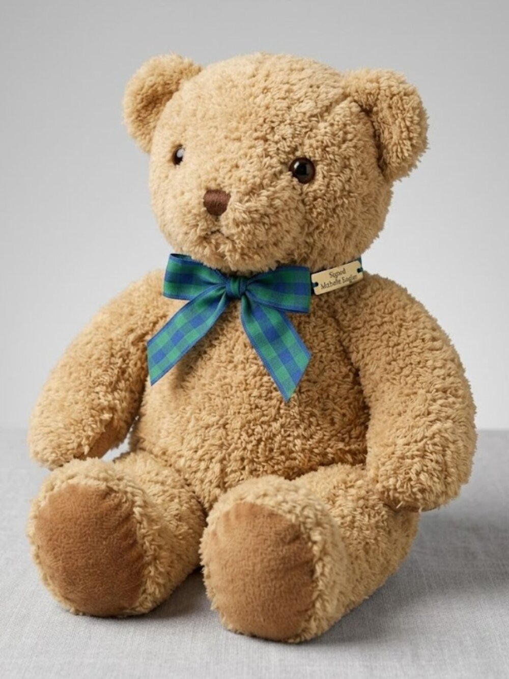 Vintage 1994 P.J. Huggabee Help Me Grow Bear Dayton Hudson Marshall Field 15"